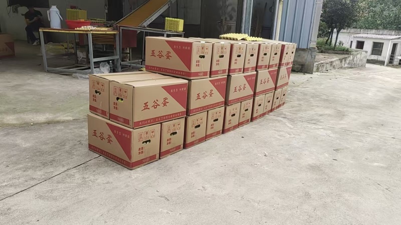 罗曼红心粉蛋28-31净重每天150箱左右持续上涨重量
