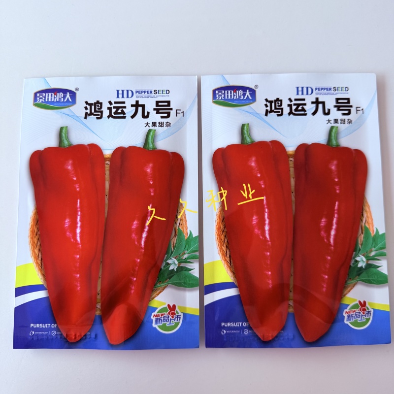鸿运九号大果甜椒种子中早熟果面光滑肉厚微辣抗病强高产辣椒