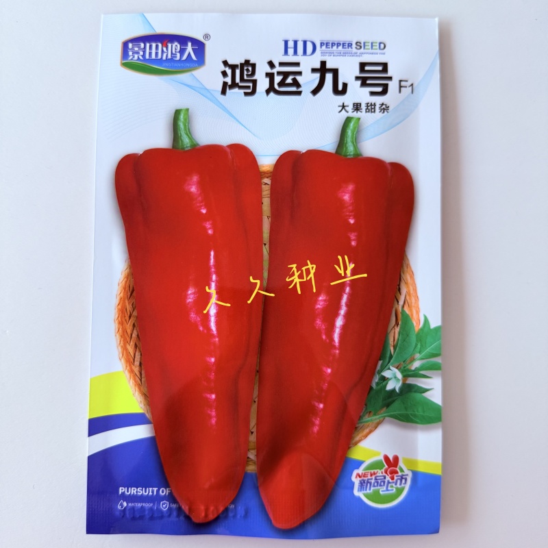 鸿运九号大果甜椒种子中早熟果面光滑肉厚微辣抗病强高产辣椒