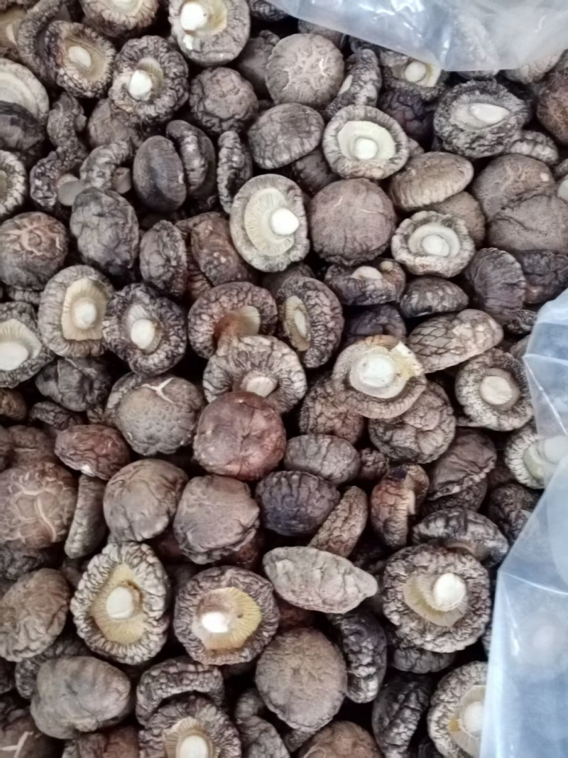 2025年优质干香菇，柄短，肉厚，朵形规整，干度好
