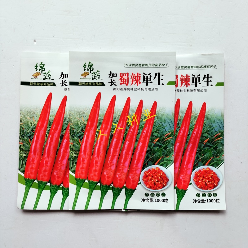 绵蔬加长蜀辣单生朝天椒种子杂交中晚熟长势旺盛果面光滑