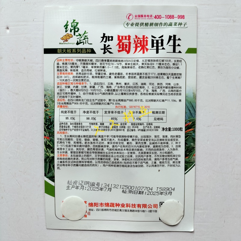 绵蔬加长蜀辣单生朝天椒种子杂交中晚熟长势旺盛果面光滑