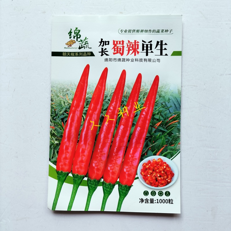 绵蔬加长蜀辣单生朝天椒种子杂交中晚熟长势旺盛果面光滑