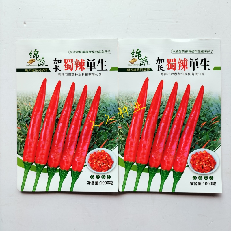 绵蔬加长蜀辣单生朝天椒种子杂交中晚熟长势旺盛果面光滑