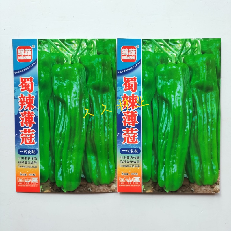 蜀辣薄蔻辣椒种子早熟大果薄皮椒种籽高产抗病优质青椒大椒种