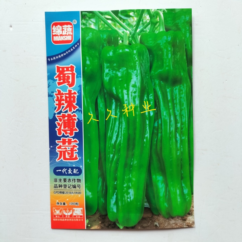 蜀辣薄蔻辣椒种子早熟大果薄皮椒种籽高产抗病优质青椒大椒种