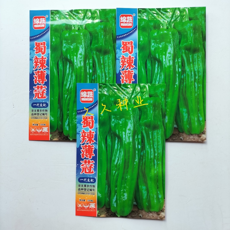 蜀辣薄蔻辣椒种子早熟大果薄皮椒种籽高产抗病优质青椒大椒种