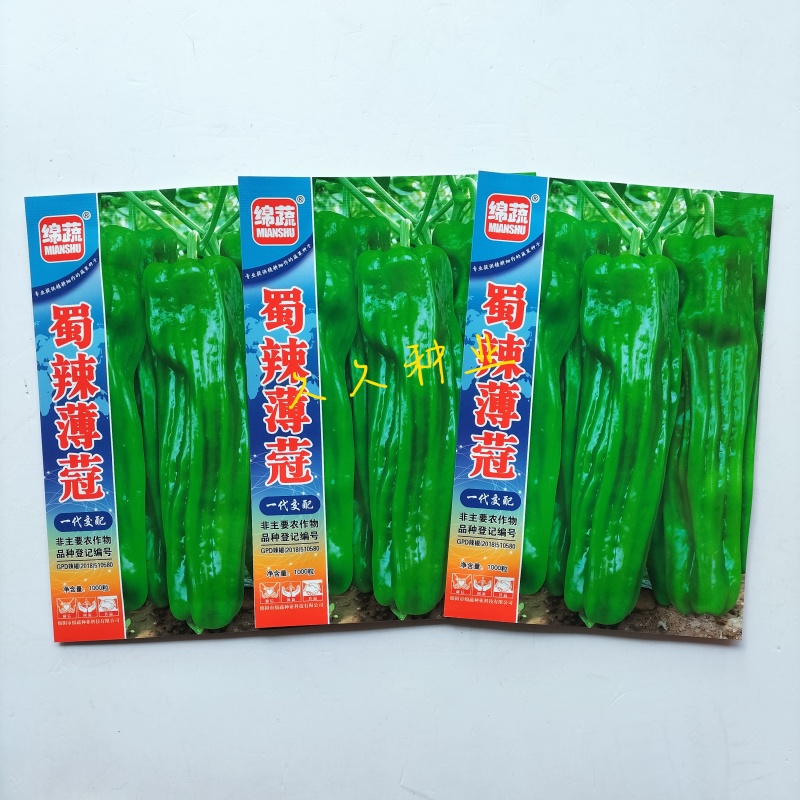 蜀辣薄蔻辣椒种子早熟大果薄皮椒种籽高产抗病优质青椒大椒种