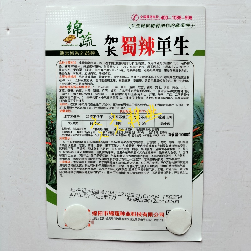 蜀辣薄蔻辣椒种子早熟大果薄皮椒种籽高产抗病优质青椒大椒种