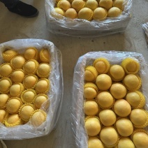 中油8黄油桃