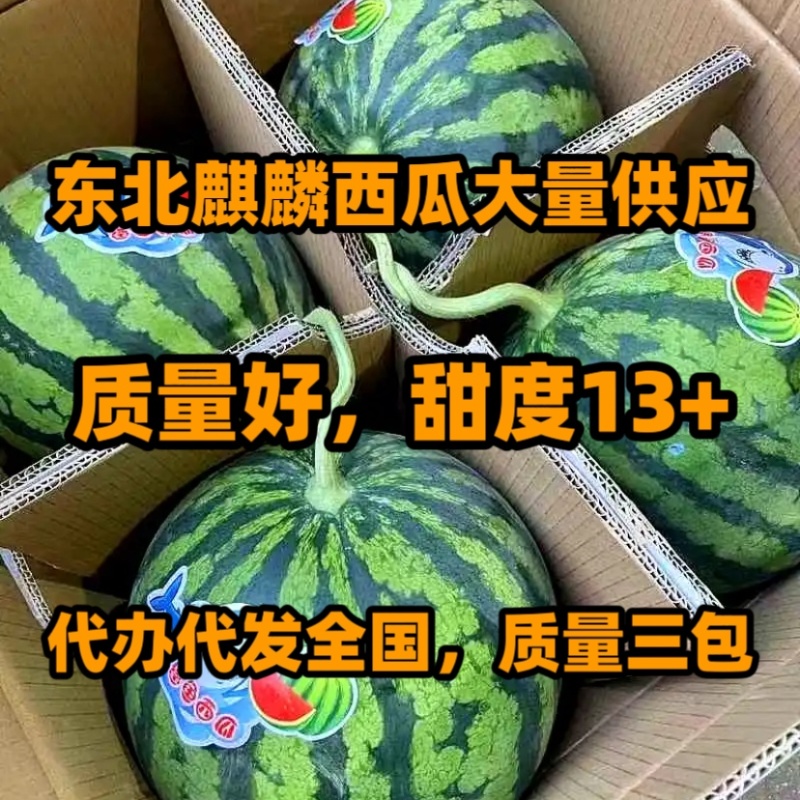 麒麟西瓜大量有货，有籽，无籽都有，甜度13+，价格便宜