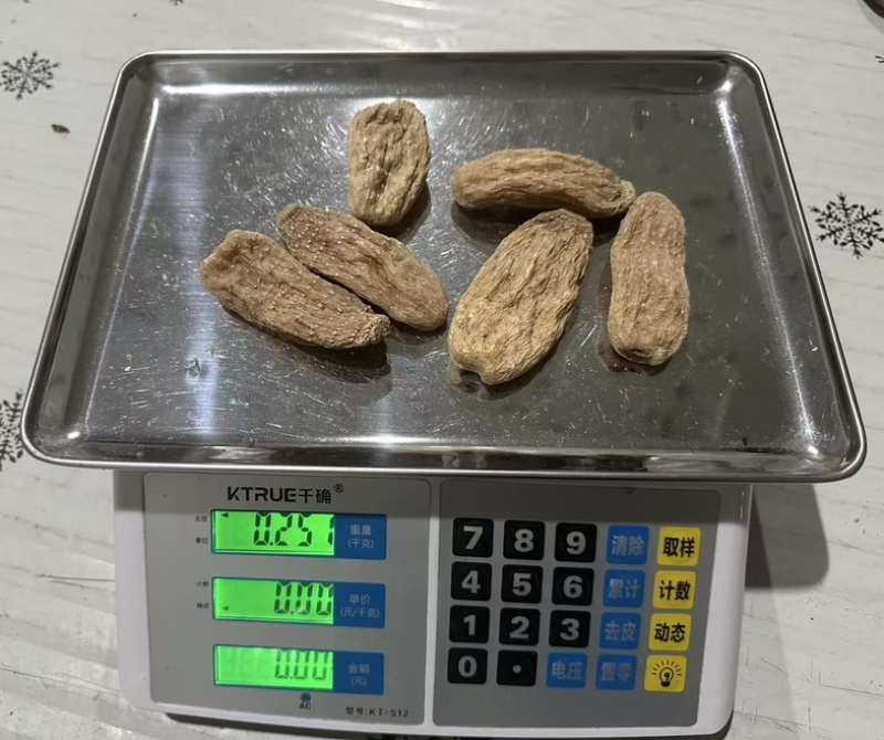 大别山金寨乌红天麻果无硫全干北纬31度深山珍贵药材