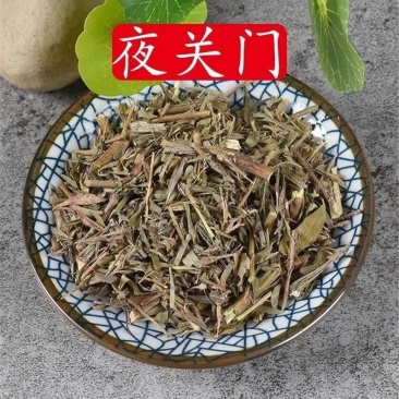 夜关门草药新鲜干货药材包邮铁扫帚关门草封草