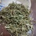 夜关门草药新鲜干货药材包邮铁扫帚关门草封草