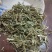 夜关门草药新鲜干货药材包邮铁扫帚关门草封草