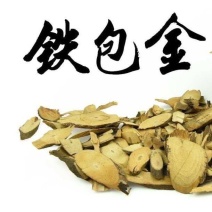 铁包金中药材老鼠耳2铁包金乌龙根勾儿茶
