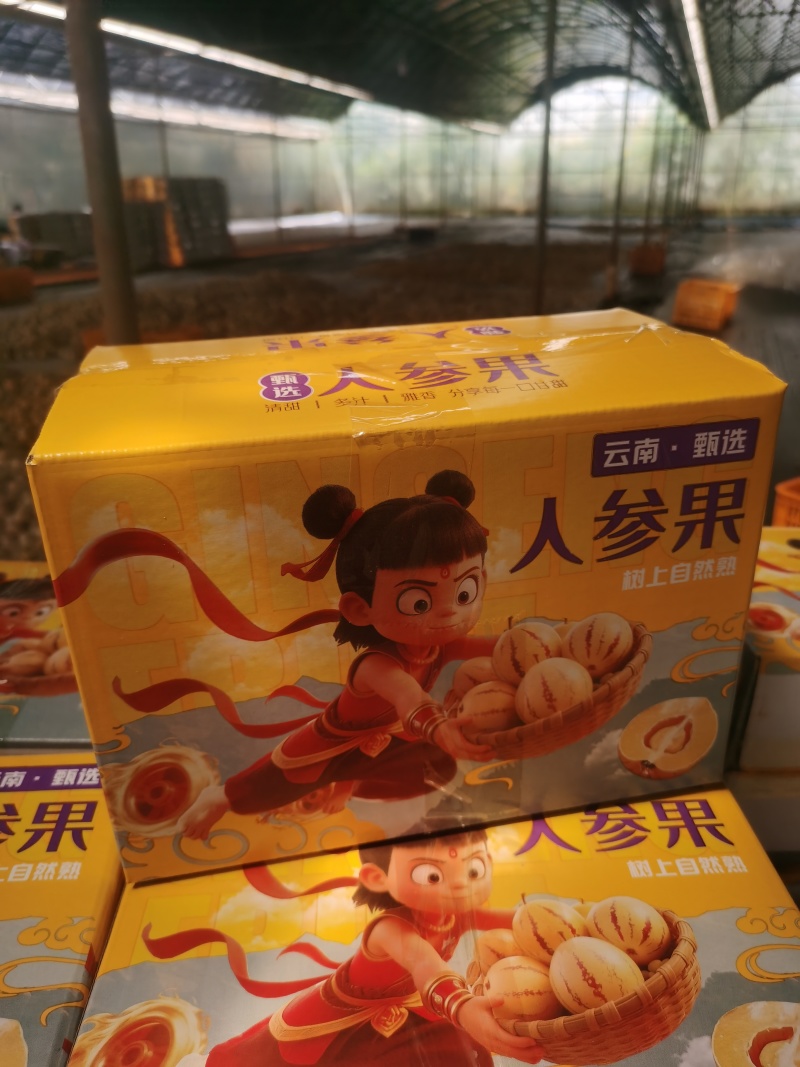 云南人参果一件代发