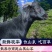 云南黑山羊农家散养跑山黑山羊，新鲜现宰好全国当日达