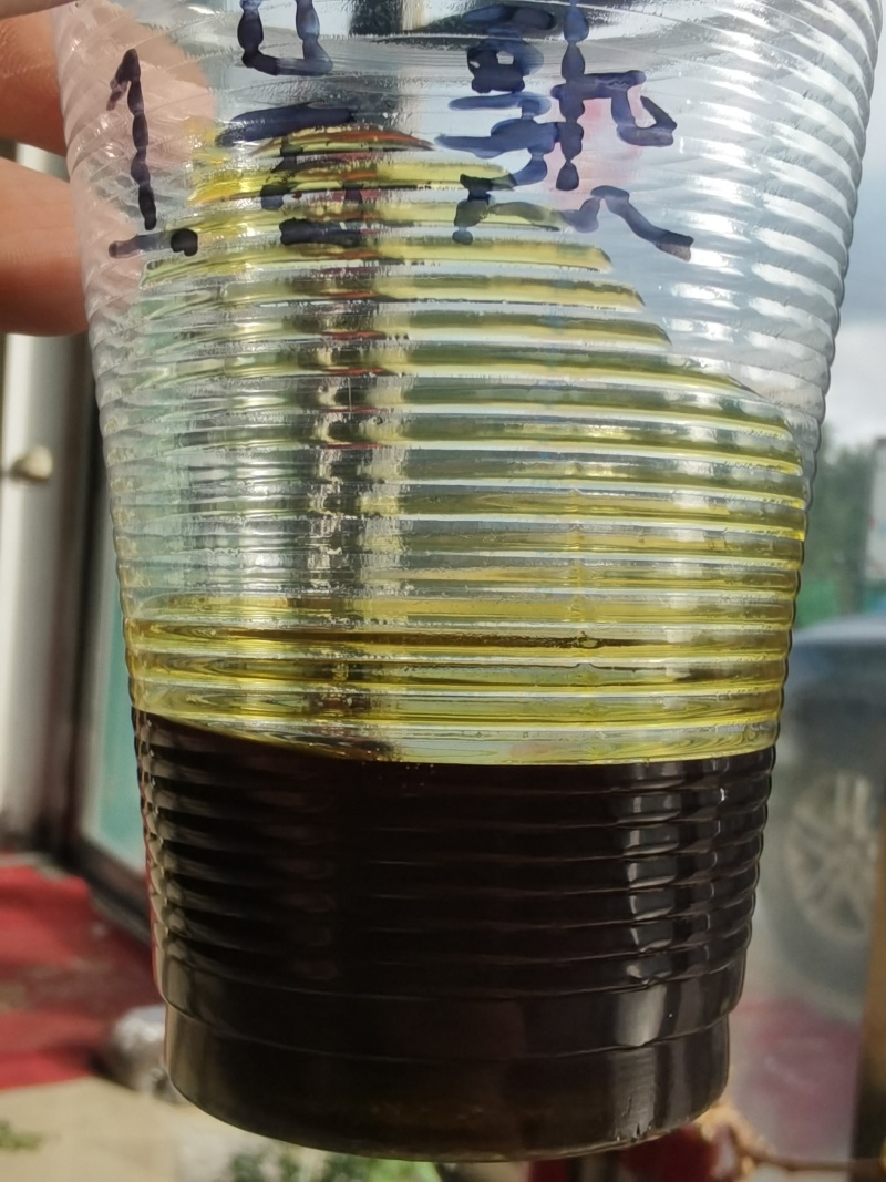 2025年1号油菜籽油色一般，水分超干，有需要的联系