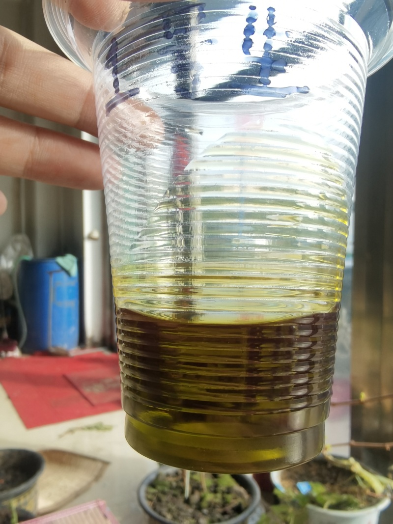 2025年1号油菜籽油色一般，水分超干，有需要的联系