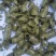 2025年1号油菜籽油色一般，水分超干，有需要的联系