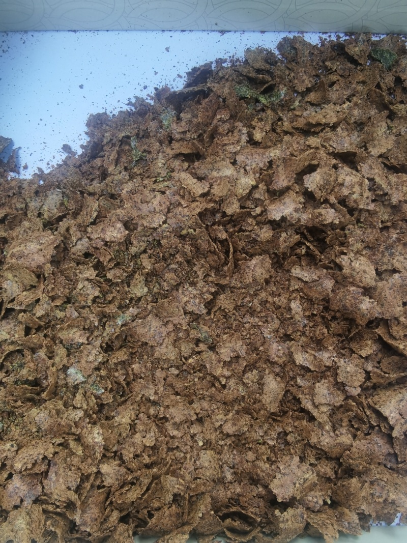 2025年1号油菜籽油色一般，水分超干，有需要的联系