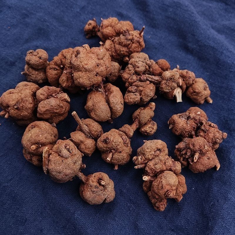 中缅缅甸野生消留果中药材消留果紫金消瘤果，消瘤藤