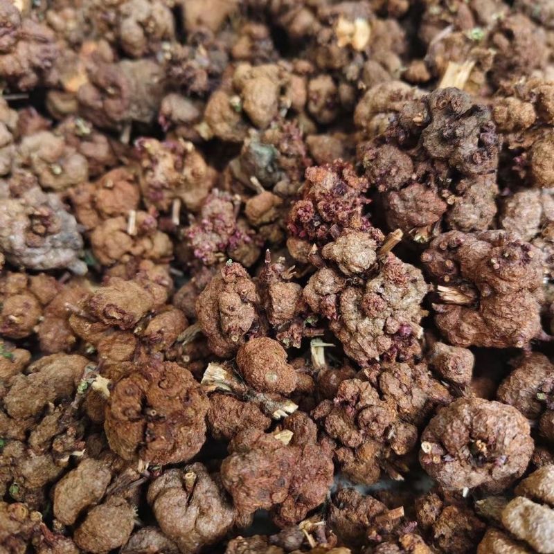 中缅缅甸野生消留果中药材消留果紫金消瘤果，消瘤藤