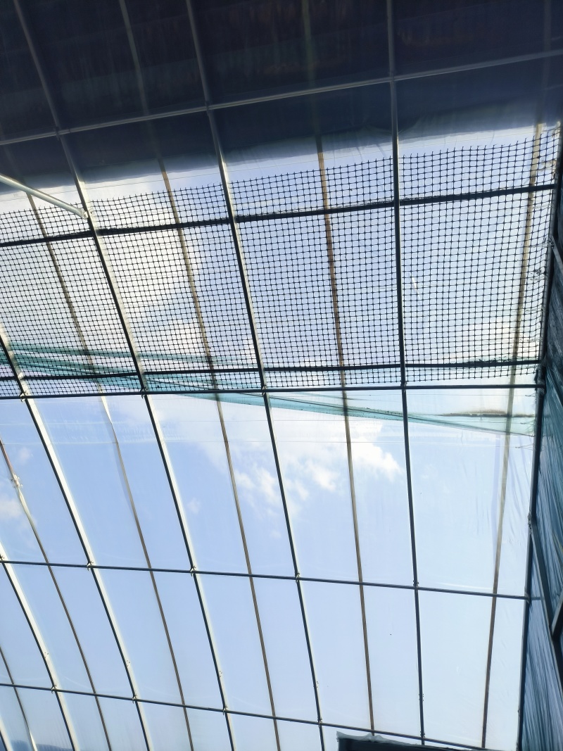 全套大棚骨架椭圆管大棚骨架设计安装经久耐用