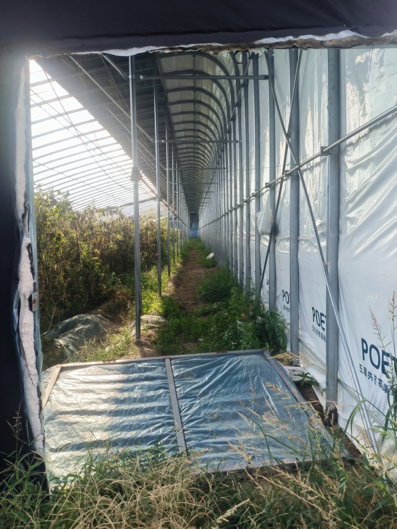 全套大棚骨架椭圆管大棚骨架设计安装经久耐用