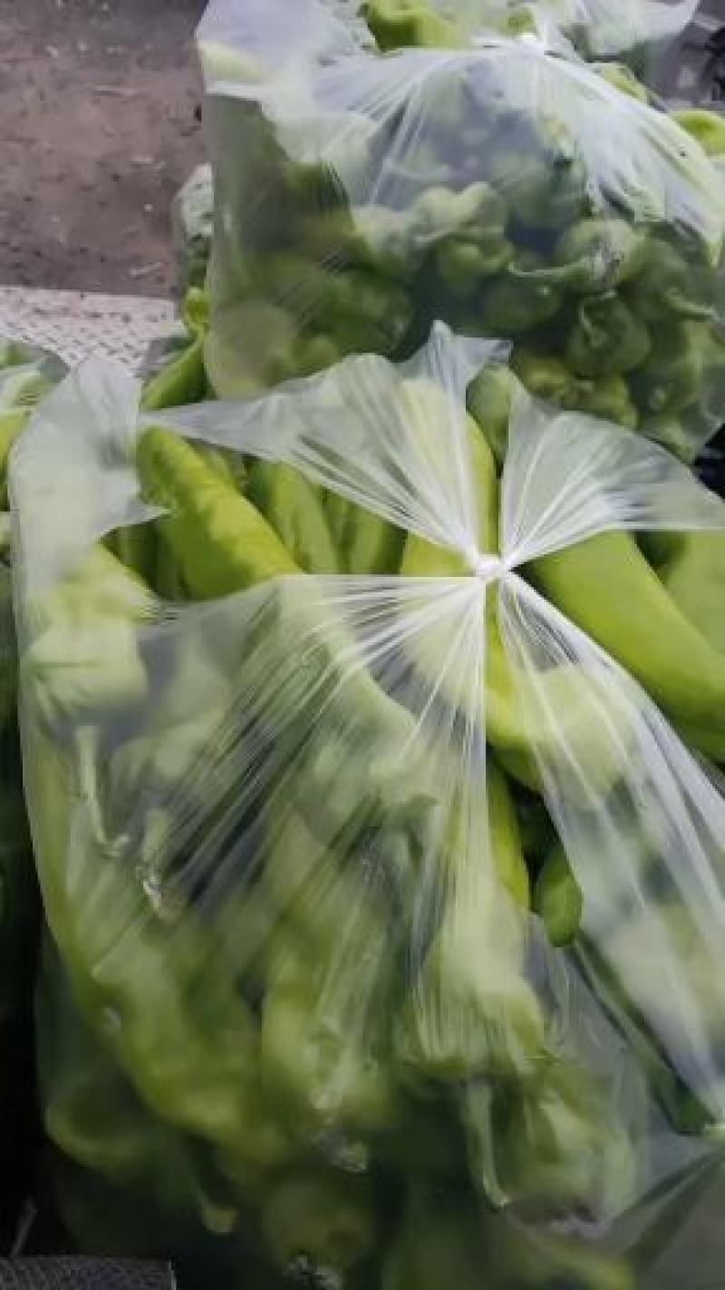 各头大，颜色好，肉质厚
