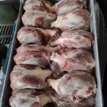 母猪龟腱肉纯干无水
