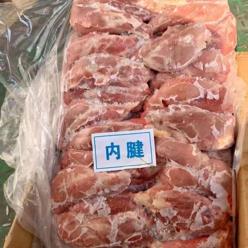 母猪内腱