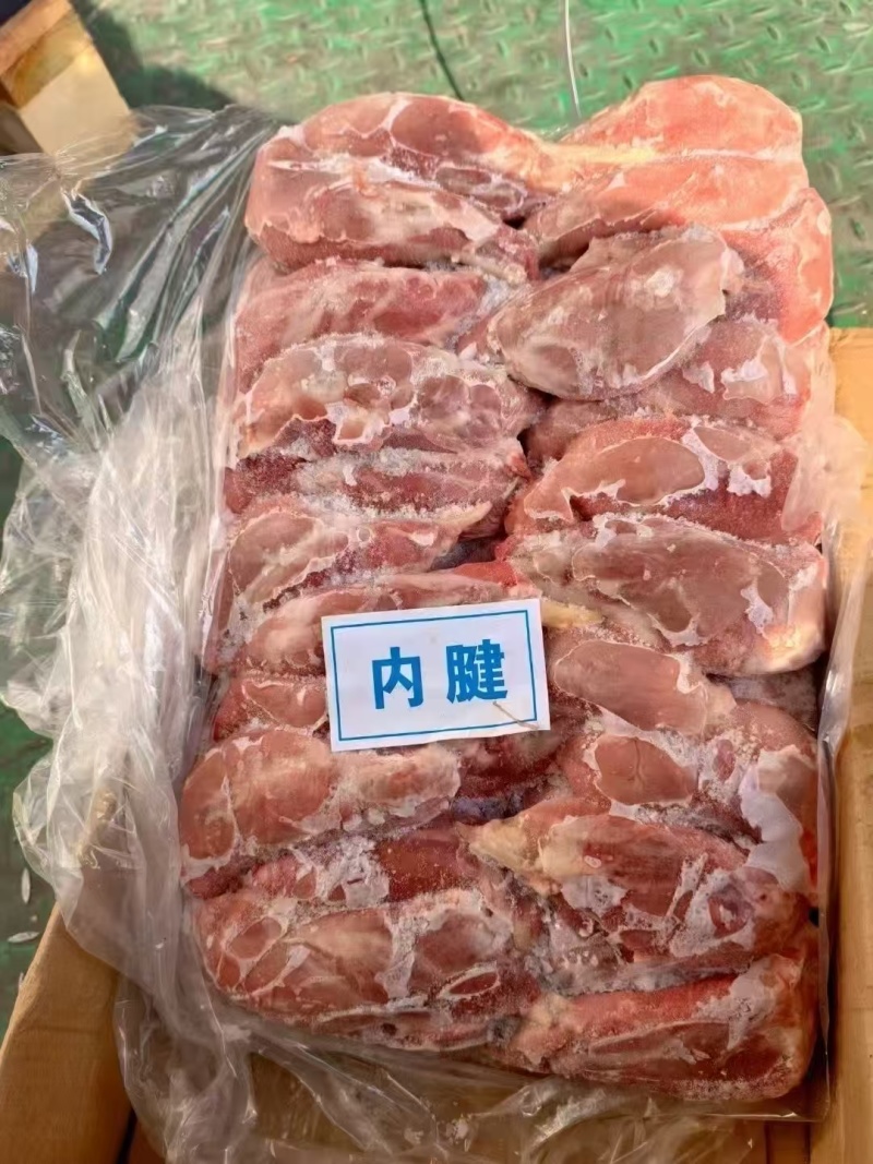 母猪内腱