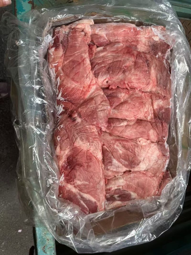 母猪负腱