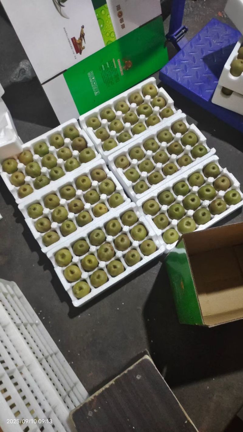 苍溪红心猕猴桃