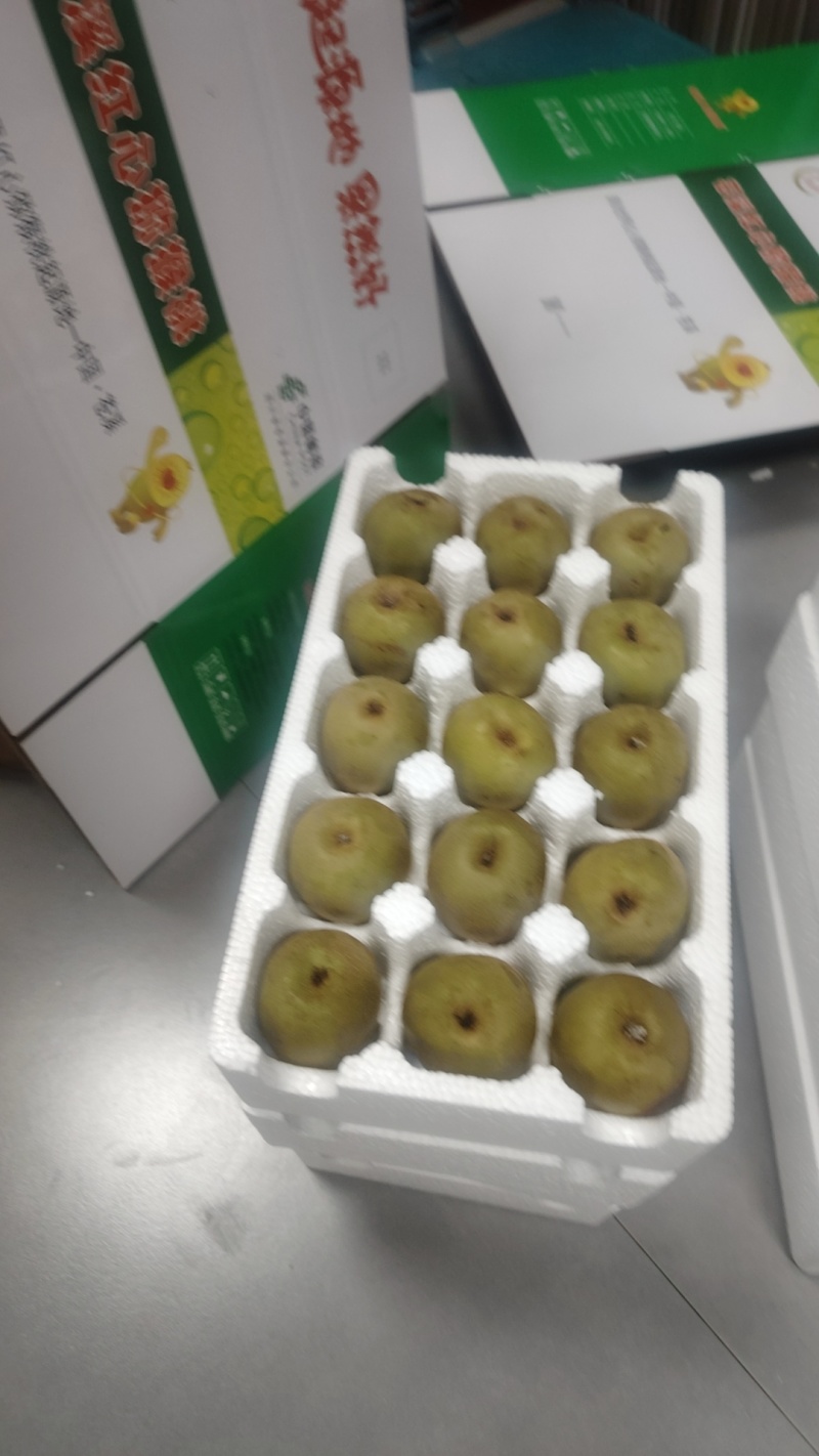 苍溪红心猕猴桃
