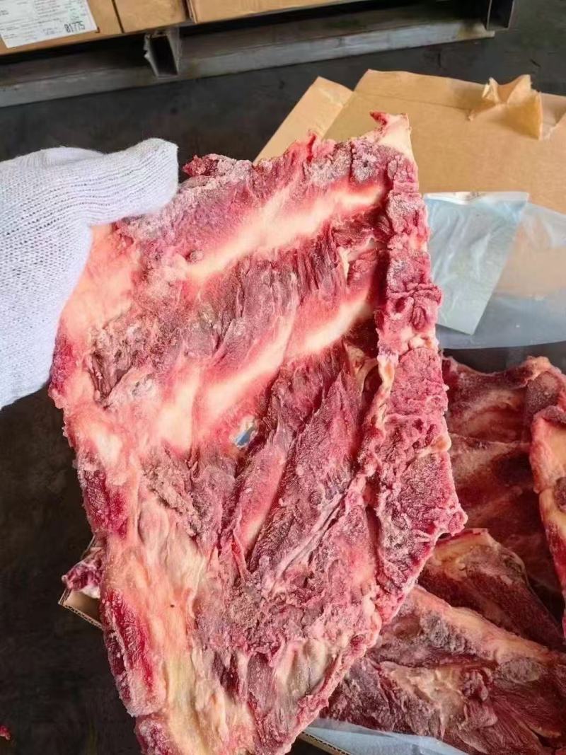 牛羽骨