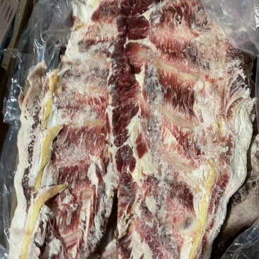 牛羽骨