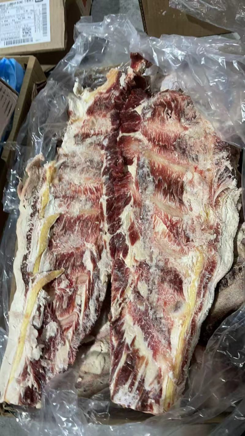 牛羽骨