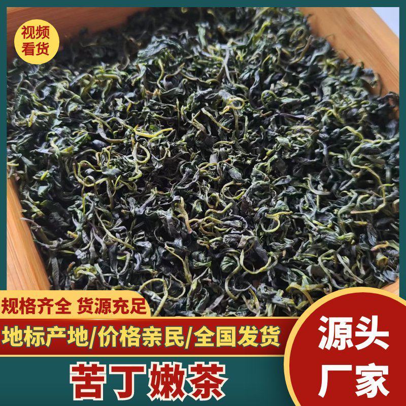 苦丁茶嫩芽大量上市吃，产地直发，品质保证服务周到