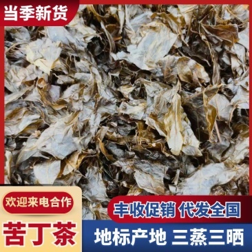 苦丁茶大量上市，产地直发，品质保证，服务周到，诚信经营