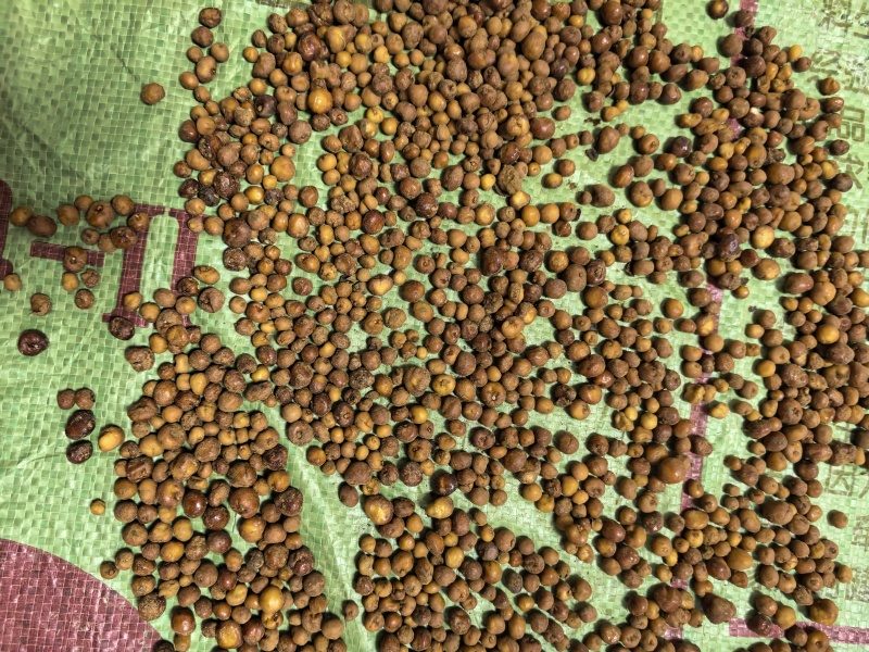 地下明珠、茅膏菜