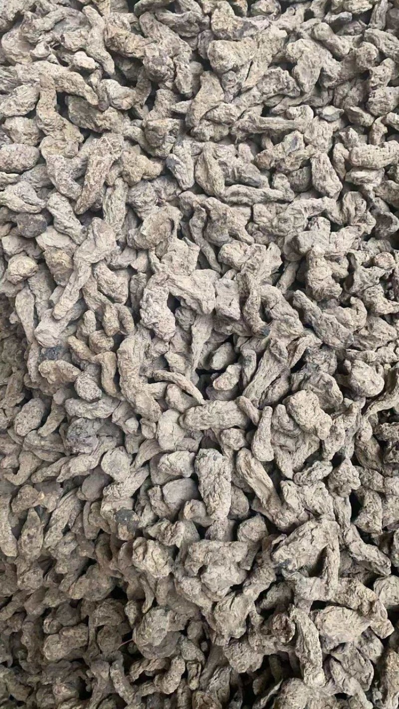 生地中药材生地大三大量上市，量大价格从优，可视频看货
