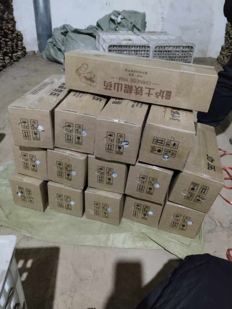 温县正宗垆土地铁棍山药现挖现发品质保证价格实惠