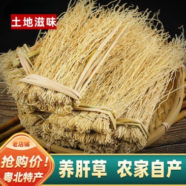 中药材野生养肝草丝线根广东食材干货汤料养生汤