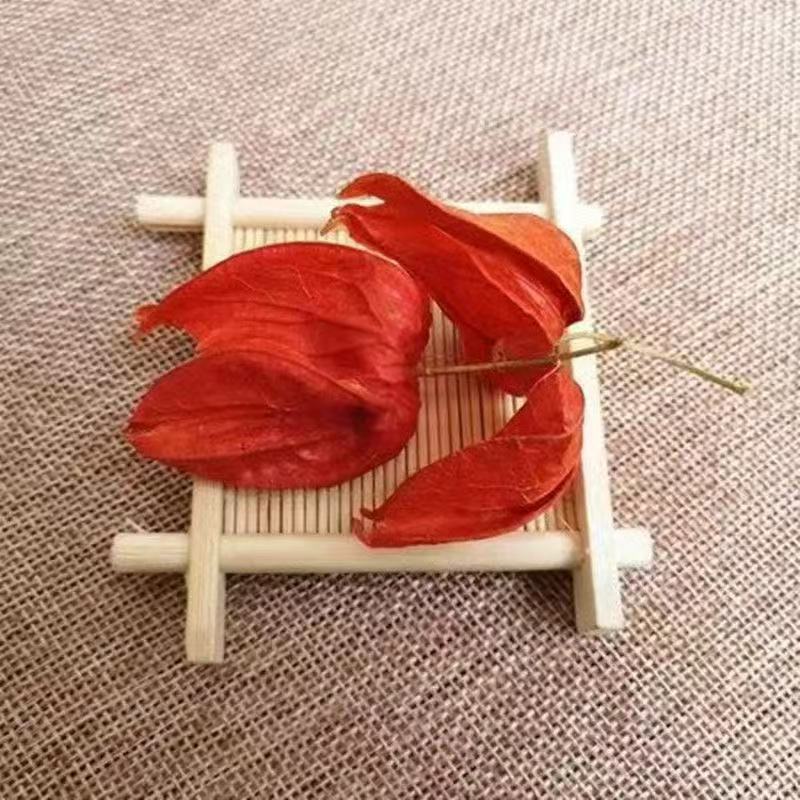 锦灯笼中药材新货野生锦灯笼干皮无果正品锦灯笼干皮