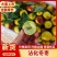 沾化冬枣/沾化大枣/山东冬枣/产地发货/质量保证/一条龙