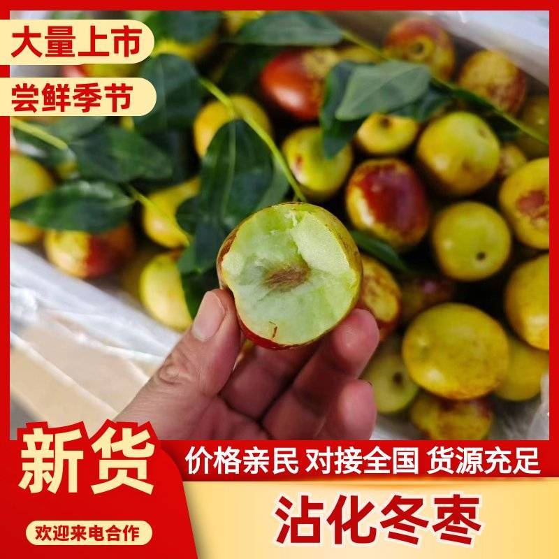 沾化冬枣/沾化大枣/山东冬枣/产地发货/质量保证/一条龙