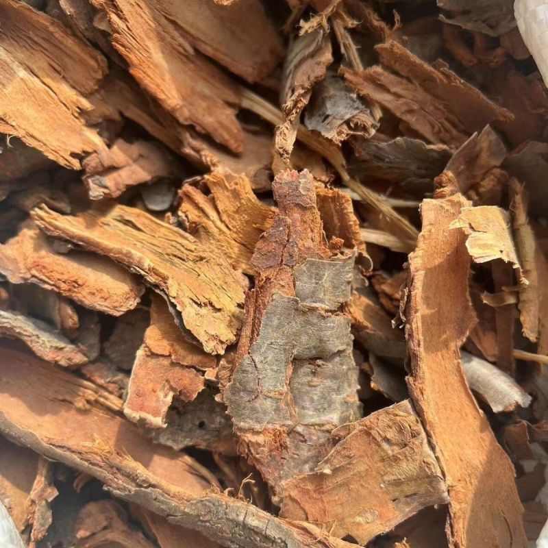 中药材桃树皮桃茎白皮桃白皮桃树干皮白桃皮正品